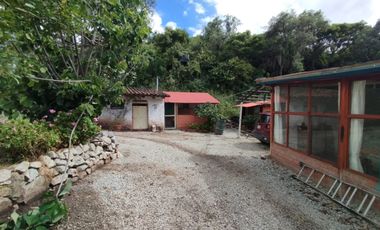 Casa en Limatambo ideal para Hotel o Airbnb + Cultivos de Palta, Limón y más