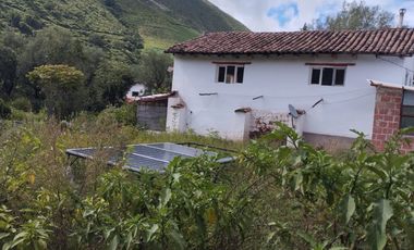 Casa en Limatambo ideal para Hotel o Airbnb + Cultivos de Palta, Limón y más