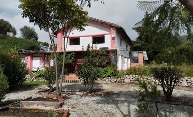 Casa en Limatambo ideal para Hotel o Airbnb + Cultivos de Palta, Limón y más