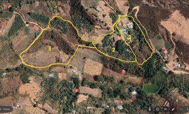 Casa en Limatambo ideal para Hotel o Airbnb + Cultivos de Palta, Limón y más