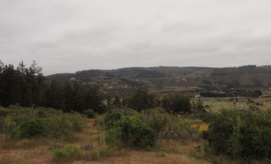 PRECIOSO TERRENO EN TUNQUEN USO SUELO COMERCIAL Y HABITACIONAL