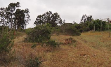 PRECIOSO TERRENO EN TUNQUEN USO SUELO COMERCIAL Y HABITACIONAL