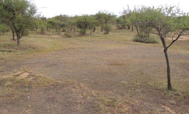 10 HA EN CASABLANCA,SECTOR LAGUNILLAS CON LUZ Y AGUA
