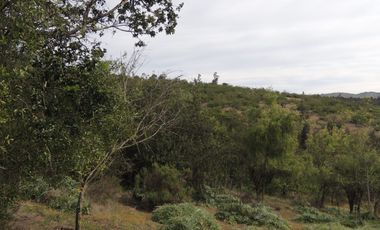 10 HA EN CASABLANCA,SECTOR LAGUNILLAS CON LUZ Y AGUA
