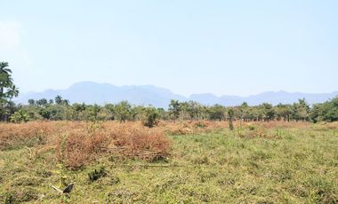 ¡PRE-VENTA DE TERRENOS RESIDENCIALES DE 500 M2!