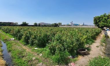 Venta de Terreno en Campo Sotelo, Temixco, Morelos