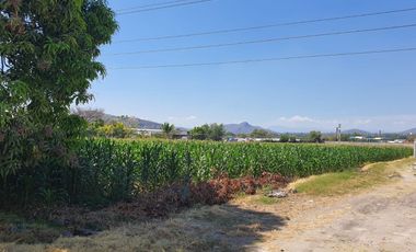 Venta de Terreno en Campo Sotelo, Temixco, Morelos