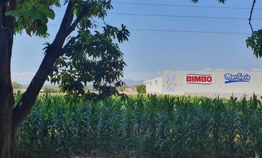 Venta de Terreno en Campo Sotelo, Temixco, Morelos