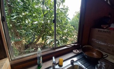 Quillota. La Palma. Maravillosa parcela con casa espectacular.