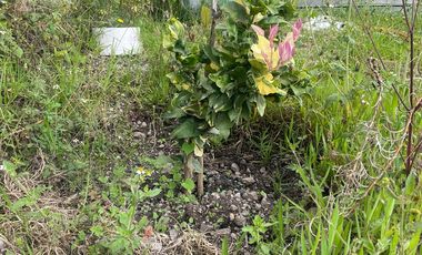 Hermosa propiedad de venta en Monjashuayco