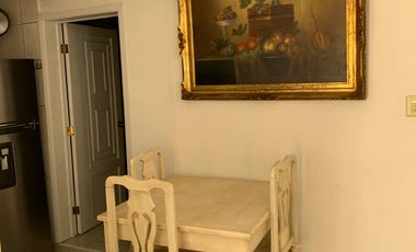 RENTO DEPARTAMENTO AMUEBLADO CENTRICO EN PROLONGACION PILASECA ZONA CENTRO EN SAN MIGUEL DE ALLENDE,GTO