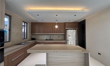 Brand New 5 Bedroom House and Lot in Tahanan Village BF Homes Paranaque City