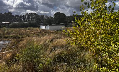 Se vende Excelente sitio con 106 mts de frente a calle, Valdivia, Chile