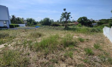 241 TW | Hot! Filled - Ready to Build On  Inside Palm Hills Golf - No Common Fees!