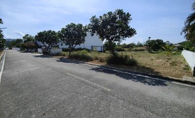 241 TW | Hot! Filled - Ready to Build On  Inside Palm Hills Golf - No Common Fees!