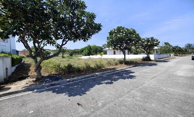 241 TW | Hot! Filled - Ready to Build On  Inside Palm Hills Golf - No Common Fees!