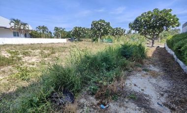 241 TW | Hot! Filled - Ready to Build On  Inside Palm Hills Golf - No Common Fees!