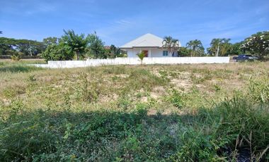 241 TW | Hot! Filled - Ready to Build On  Inside Palm Hills Golf - No Common Fees!