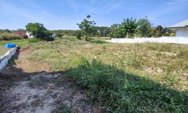 241 TW | Hot! Filled - Ready to Build On  Inside Palm Hills Golf - No Common Fees!
