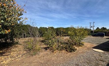 LOS QUELTEHUES – LAS CRUCES