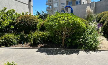 Reñaca Departamento, 3d, 2b, 2 estacionamientos, Vista Al Mar.