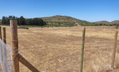 Parcela en Marchigue 5.000 m² con Rol Propio