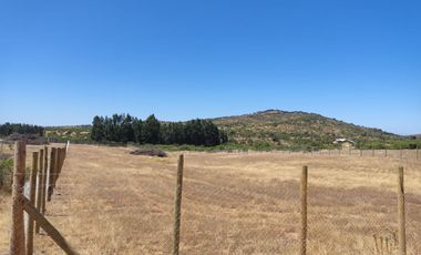 Parcela en Marchigue 5.000 m² con Rol Propio