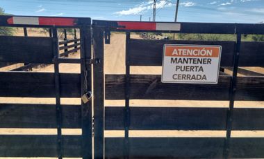 Parcela en Marchigue 5.000 m² con Rol Propio