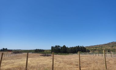 Parcela en Marchigue 5.000 m² con Rol Propio