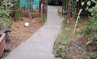 Casa con terreno de 390 m2 y dos casas adicionales más jardín a precio rebajado