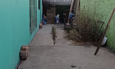 Casa con terreno de 390 m2 y dos casas adicionales más jardín a precio rebajado