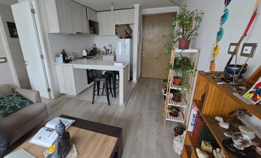 BROKER COSTA 1D-1B-1EST-SIN BODEGA