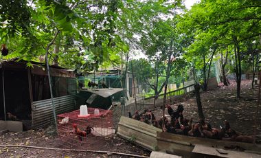 Commercial lot for Sale in Caloocan City! 🏢