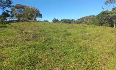 VENDO FINCA GANADERA A 5 MINUTOS DESDE YOLOMBÓ ANTIOQUIA.