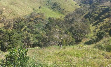 VENDO FINCA GANADERA A 5 MINUTOS DESDE YOLOMBÓ ANTIOQUIA.