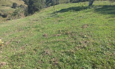 VENDO FINCA GANADERA A 5 MINUTOS DESDE YOLOMBÓ ANTIOQUIA.