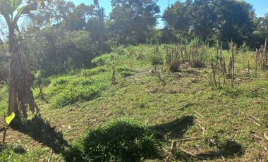 VENDO FINCA GANADERA A 5 MINUTOS DESDE YOLOMBÓ ANTIOQUIA.