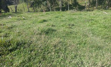 VENDO FINCA GANADERA A 5 MINUTOS DESDE YOLOMBÓ ANTIOQUIA.