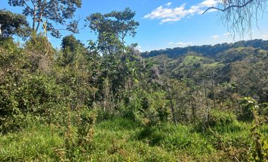 VENDO FINCA GANADERA A 5 MINUTOS DESDE YOLOMBÓ ANTIOQUIA.