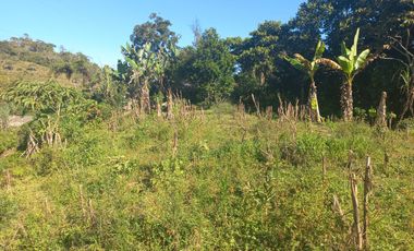 VENDO FINCA GANADERA A 5 MINUTOS DESDE YOLOMBÓ ANTIOQUIA.