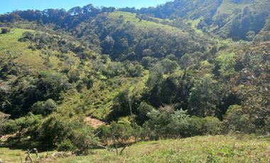 VENDO FINCA GANADERA A 5 MINUTOS DESDE YOLOMBÓ ANTIOQUIA.