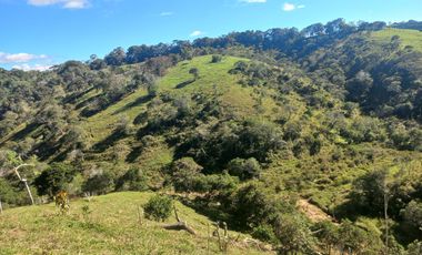 VENDO FINCA GANADERA A 5 MINUTOS DESDE YOLOMBÓ ANTIOQUIA.