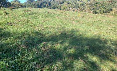 VENDO FINCA GANADERA A 5 MINUTOS DESDE YOLOMBÓ ANTIOQUIA.