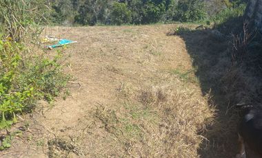 VENDO FINCA GANADERA A 5 MINUTOS DESDE YOLOMBÓ ANTIOQUIA.