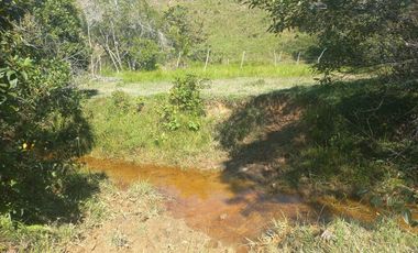 VENDO FINCA GANADERA A 5 MINUTOS DESDE YOLOMBÓ ANTIOQUIA.
