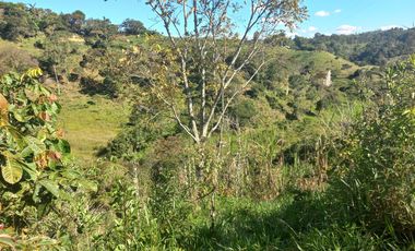 VENDO FINCA GANADERA A 5 MINUTOS DESDE YOLOMBÓ ANTIOQUIA.