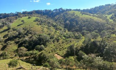 VENDO FINCA GANADERA A 5 MINUTOS DESDE YOLOMBÓ ANTIOQUIA.