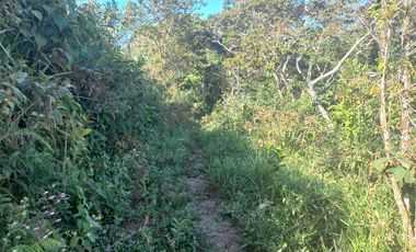 VENDO FINCA GANADERA A 5 MINUTOS DESDE YOLOMBÓ ANTIOQUIA.