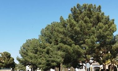 VENTA DE RESIDENCIA EN CAMPOS ELISEOS