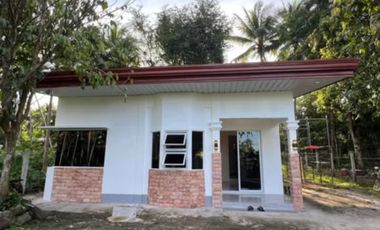 HOUSE AND LOT FOR SALE IN VALENCIA ID 14993